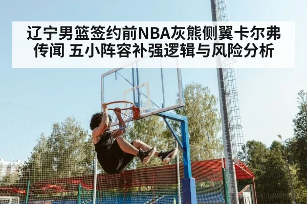 辽宁男篮签约前NBA灰熊侧翼卡尔弗传闻 五小阵容补强逻辑与风险分析